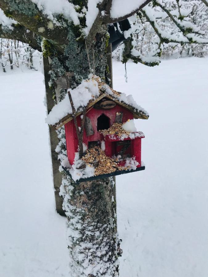 Gite De La Mesange Rochesson Exteriör bild