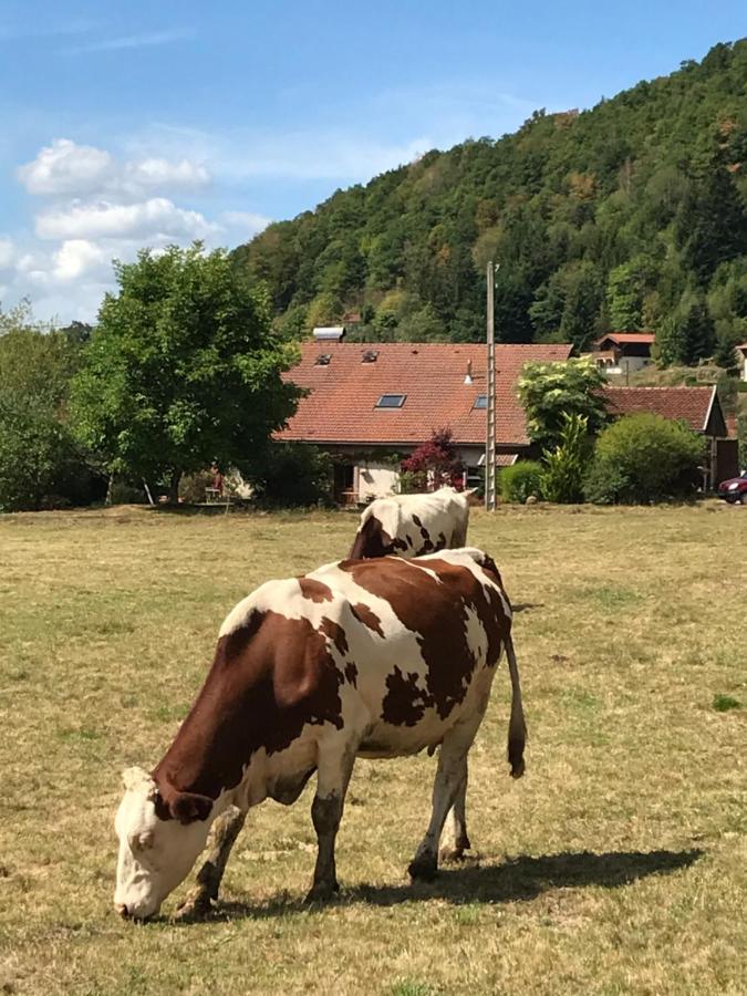 Gite De La Mesange Rochesson Exteriör bild